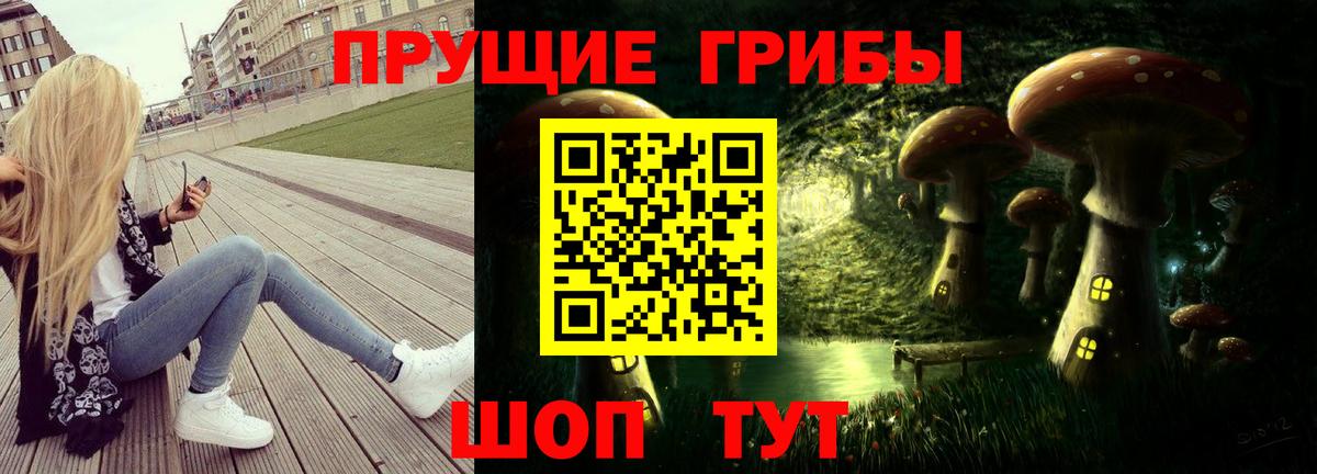 Славгород  Псилоцибиновые грибы MAGIC MUSHROOMS  продажа наркотиков  Вход с VPN 